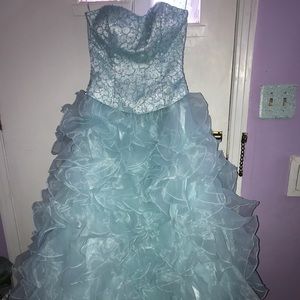 Lilies and Lace Quinceañera Dress
